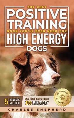 The Only Positive Training Book You'll Ever Need for High-Energy Dogs