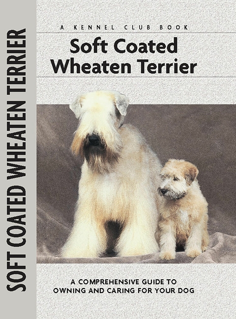 Soft Coat Wheaten Terrier - Juliette Cunliffe
