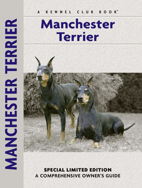 Manchester Terrier - Muriel P. Lee