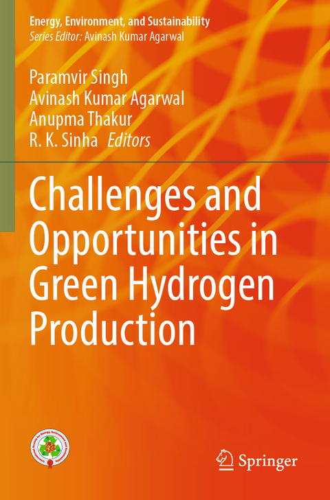 Challenges and Opportunities in Green Hydrogen Production - 
