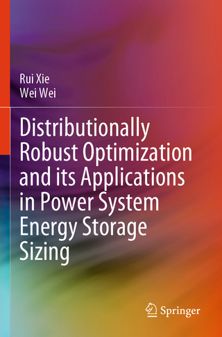 Distributionally Robust Optimization and its Applications in Power System Energy Storage Sizing