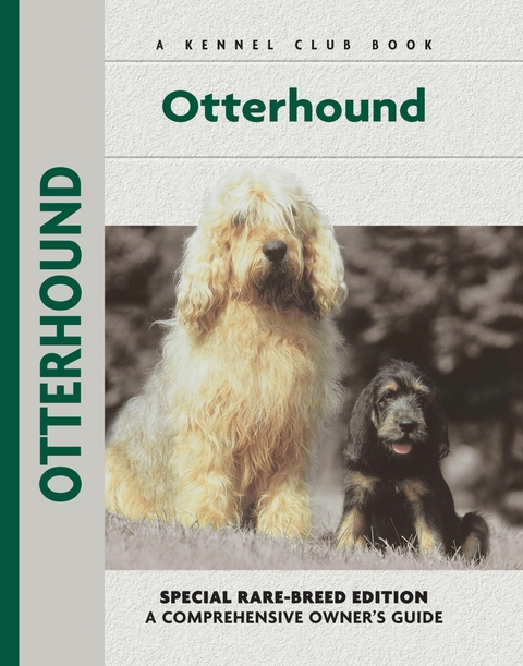 Otter Hound - Juliette Cunliffe