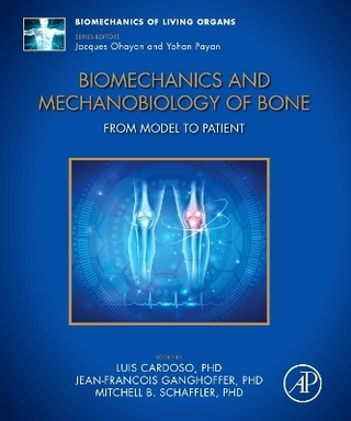 Biomechanics and Mechanobiology of Bone