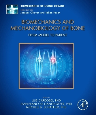 Biomechanics and Mechanobiology of Bone - 