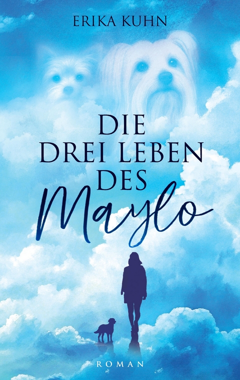 Die drei Leben des Maylo - Erika Kuhn