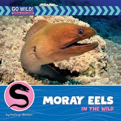 Moray Eels in the Wild - Kathryn Beaton