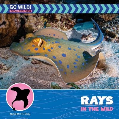 Rays in the Wild - Susan H Gray