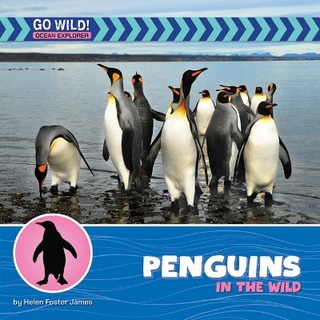 Penguins in the Wild