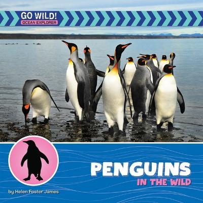 Penguins in the Wild - Helen Foster James