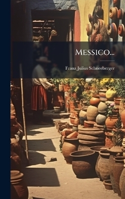 Messico... - Franz Julius Schneeberger