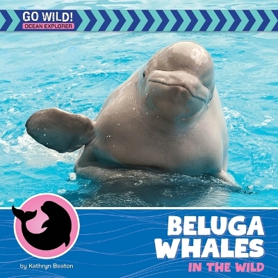 Beluga Whales in the Wild - Kathryn Beaton