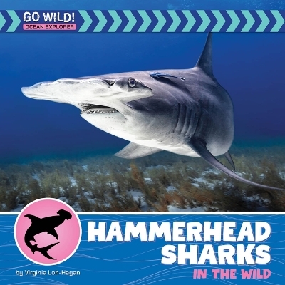 Hammerhead Sharks in the Wild - Virginia Loh-Hagan