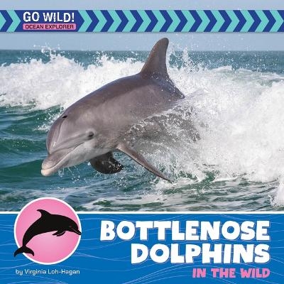 Bottlenose Dolphins in the Wild - Virginia Loh-Hagan