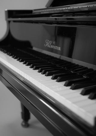 Music Booklet: DIN A5 Staff Book | 46 Pages with 12 Staves / Systems per Sheet | Paper 90g/m²