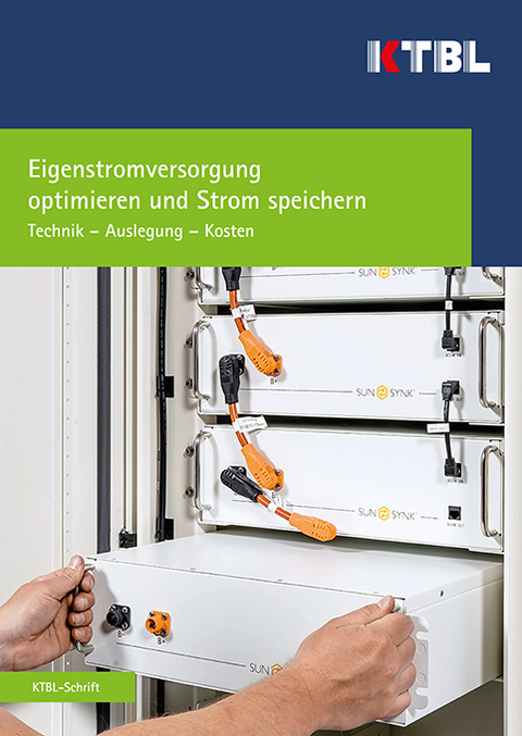 Eigenstromversorgung optimieren und Strom speichern - Werner Schmid, Josef Neiber, Matthias Puchta, Helmut Wahl, Henning Eckel, Peter Berwanger