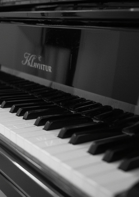 Notenheft: DIN A5 Notenlinienheft | 46 Seiten mit 12 Notenzeilen / Systeme pro Blatt | Papier 90g/m&sup2; | Musikheft mit Notenlinien - Jakob Welik