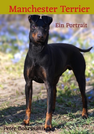 Manchester Terrier