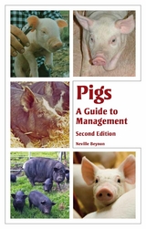 Pigs -  Neville Beynon