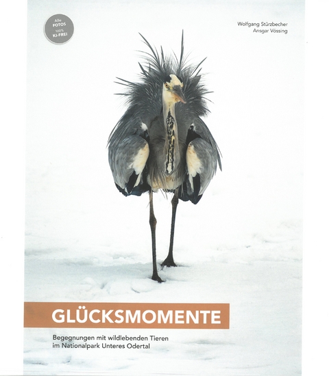 GL&Uuml;CKSMOMENTE