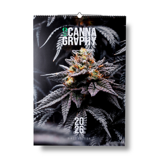 Cannagraphy® Kalender 2026 DIN A3