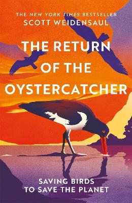 The Return of the Oystercatcher - Scott Weidensaul