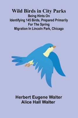 A Waif of the Plains (Edition1) - Herbert Eugene Walter, Alice Hall Walter