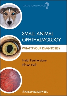 Small Animal Ophthalmology &ndash; What&prime;s Your Diagnosis? - H Featherstone