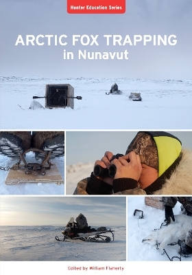 Arctic Fox Trapping in Nunavut
