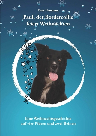 Paul der Bordercollie feiert Weihnachten