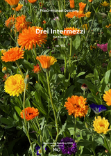 Drei Intermezzi f&uuml;r Klavier - 