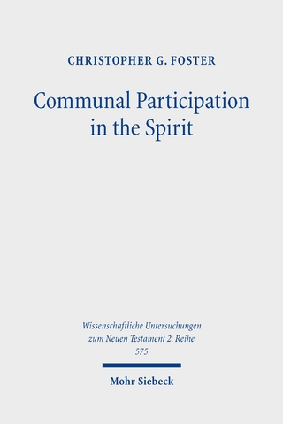 Communal Participation in the Spirit