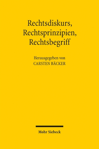 Rechtsdiskurs, Rechtsprinzipien, Rechtsbegriff