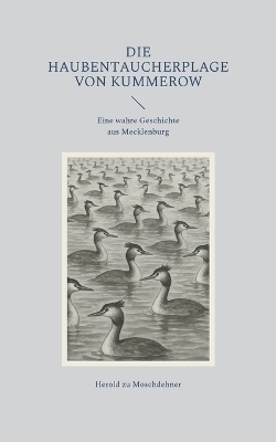 Die Haubentaucherplage von Kummerow