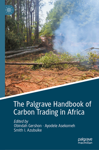 The Palgrave Handbook of Carbon Trading in Africa