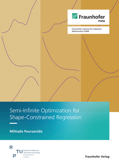 Semi-Infinite Optimization for Shape-Constrained Regression - Miltiadis Poursanidis