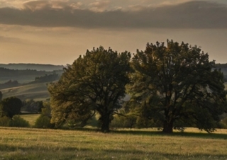 Kalender 2026 – Individueller Planer für Ihre Notizen und Ideen