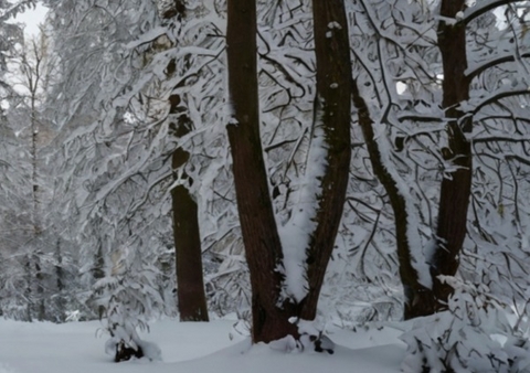 Kalender 2026 &ndash; Individueller Planer f&uuml;r Ihre Notizen und Ideen - Jakob Welik
