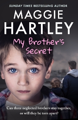 My Brother's Secret - Maggie Hartley