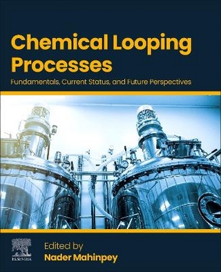 Chemical Looping Processes