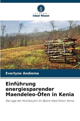 Einführung energiesparender Maendeleo-Öfen in Kenia