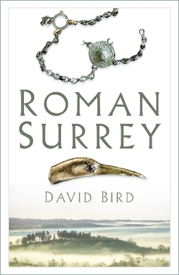 Roman Surrey - David Bird