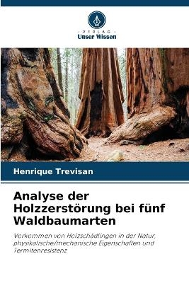 Analyse der Holzzerstörung bei fünf Waldbaumarten