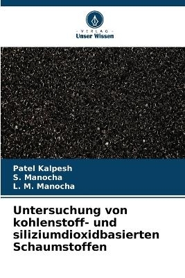 Untersuchung von kohlenstoff- und siliziumdioxidbasierten Schaumstoffen