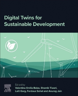 Digital Twins for Sustainable Development