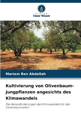 Kultivierung von Olivenbaum-Jungpflanzen angesichts des Klimawandels
