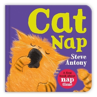 Cat Nap