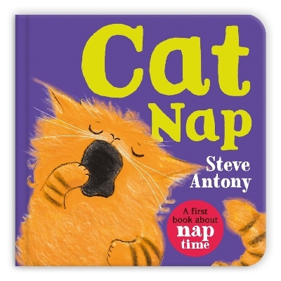 Cat Nap - Steve Antony