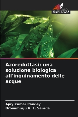 Azoreduttasi