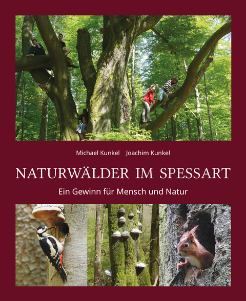 Naturw&auml;lder im Spessart - Joachim Kunkel