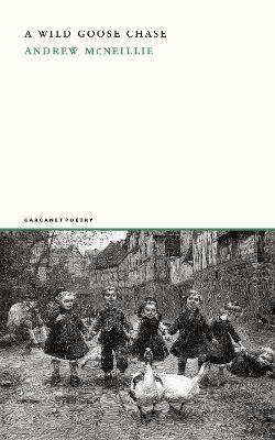A Wild Goose Chase - Andrew McNeillie